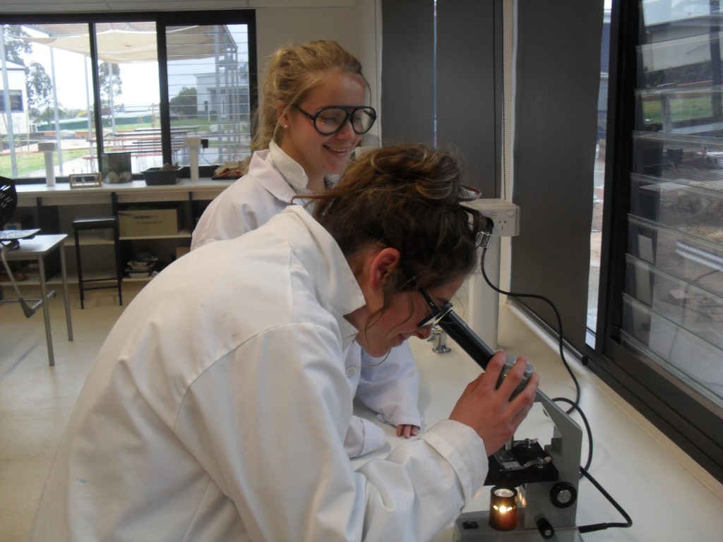 Boort District School students Stephanie Couper and Hannah Moresi (front) spent three weeks on exchange at John Monash Science School. Photo: Angus Verley