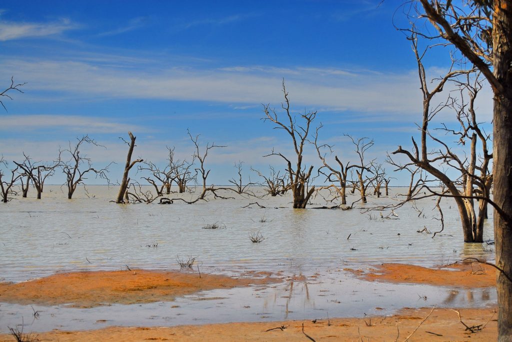 the-fight-for-groundwater-big-water-industry-vs-locals-in-stanley