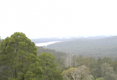 Yarra Ranges Shire