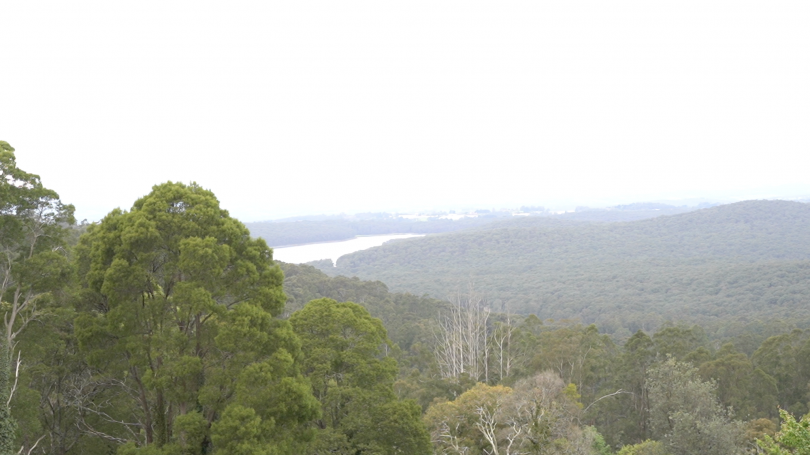 Yarra Ranges Shire